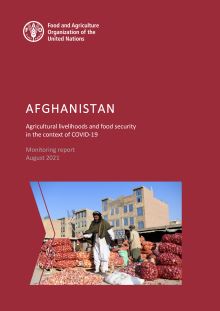 Afghanistan | Agricultural livelihoods and food security in the context of COVID-19